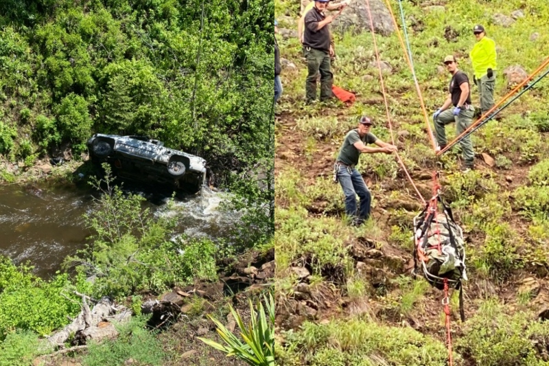 La asombrosa historia del perro que recorrió 6 kilómetros para ayudar a su dueño, quien cayó a un abismo con su carro en los Estados Unidos.  