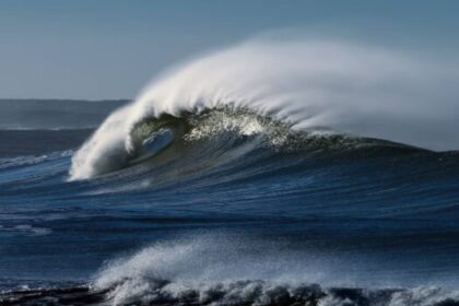 Diego Melgar, sismólogo de la Universidad de Oregón, señaló cuál es la zona más vulnerable a un tsunami en los Estados Unidos